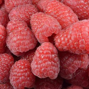 Flat of Raspberries